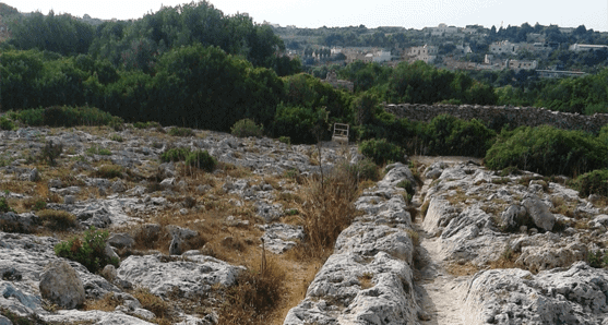 Cart ruts mytères malte