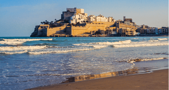 le petit maltais plage gozo