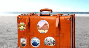 valise le petit maltais