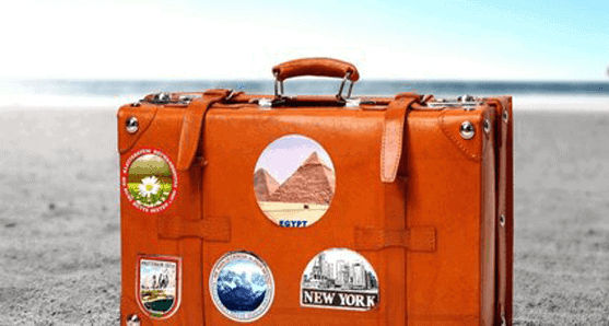 valise le petit maltais