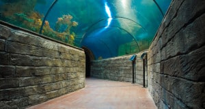 Aquarium de Malte