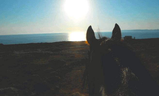 Couché De Soleil à Cheval à Golden Bay Le Petit Maltais