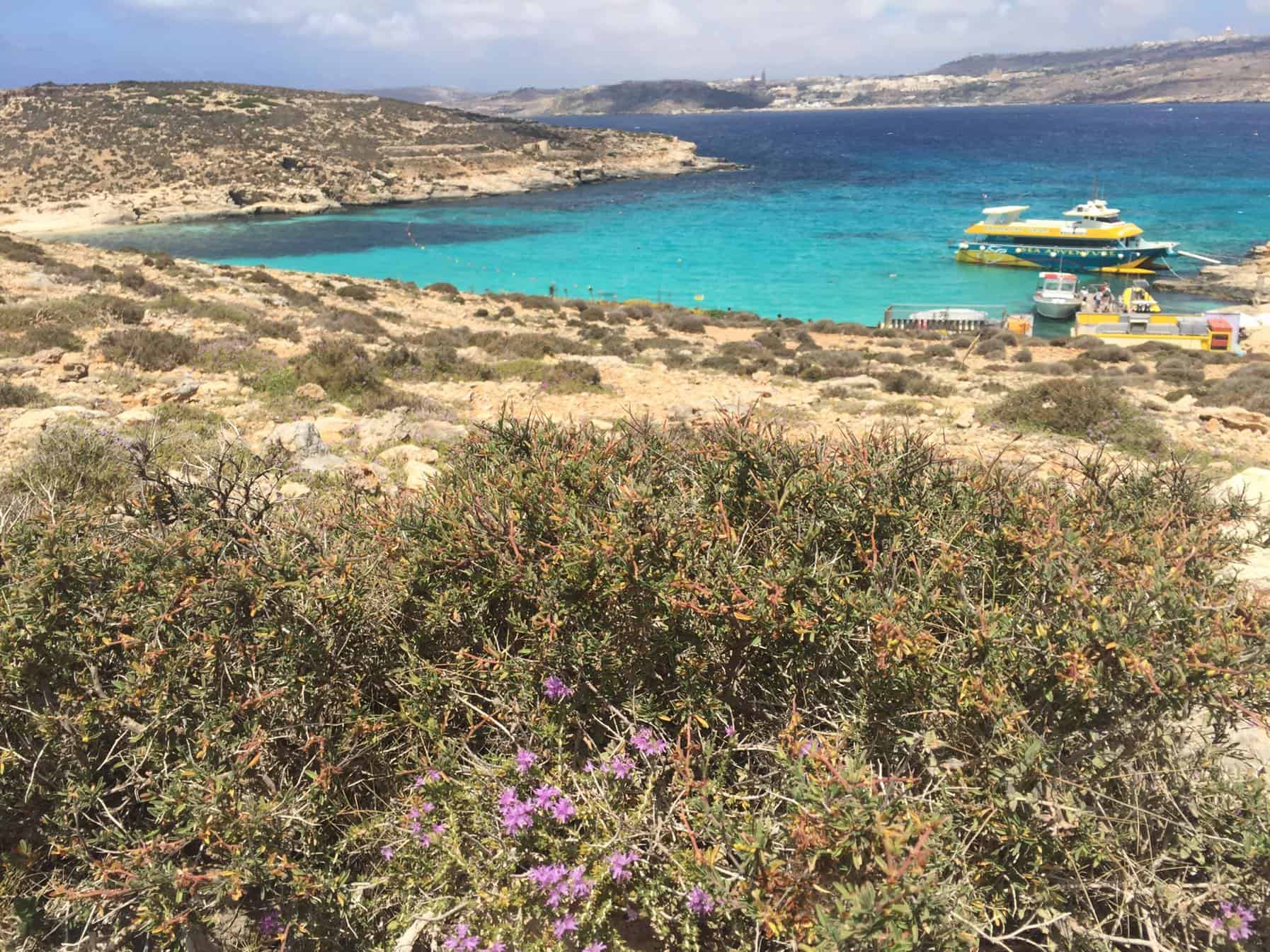 bateau sea adventure