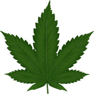 Malte légalise le cannabis