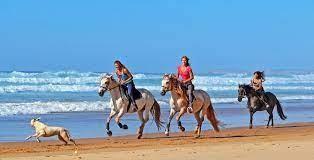 People riding horses on the beach Description automatically generated with medium confidence